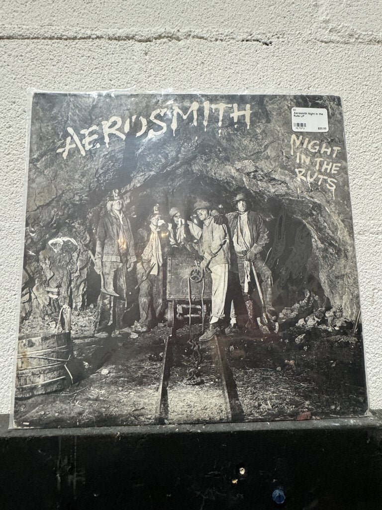 Aerosmith Night in the Ruts LP