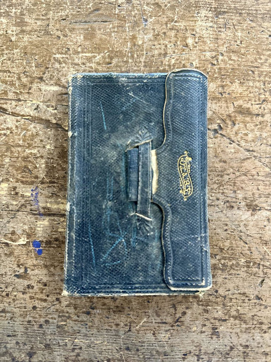 Diary From the 1870s