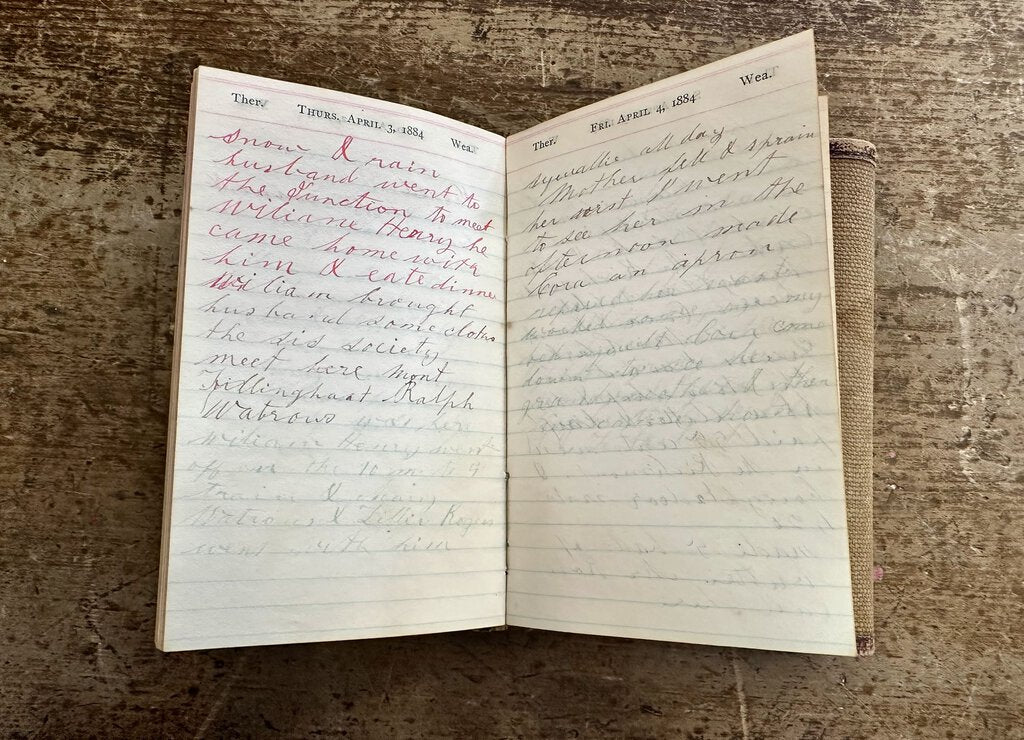 Diary From 1884